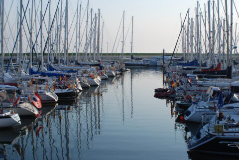 Hafen Oudeschild Texel