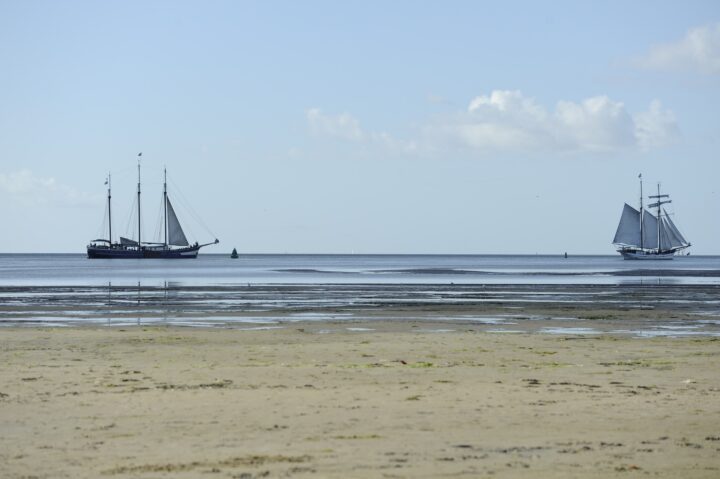 Segler vor Terschelling